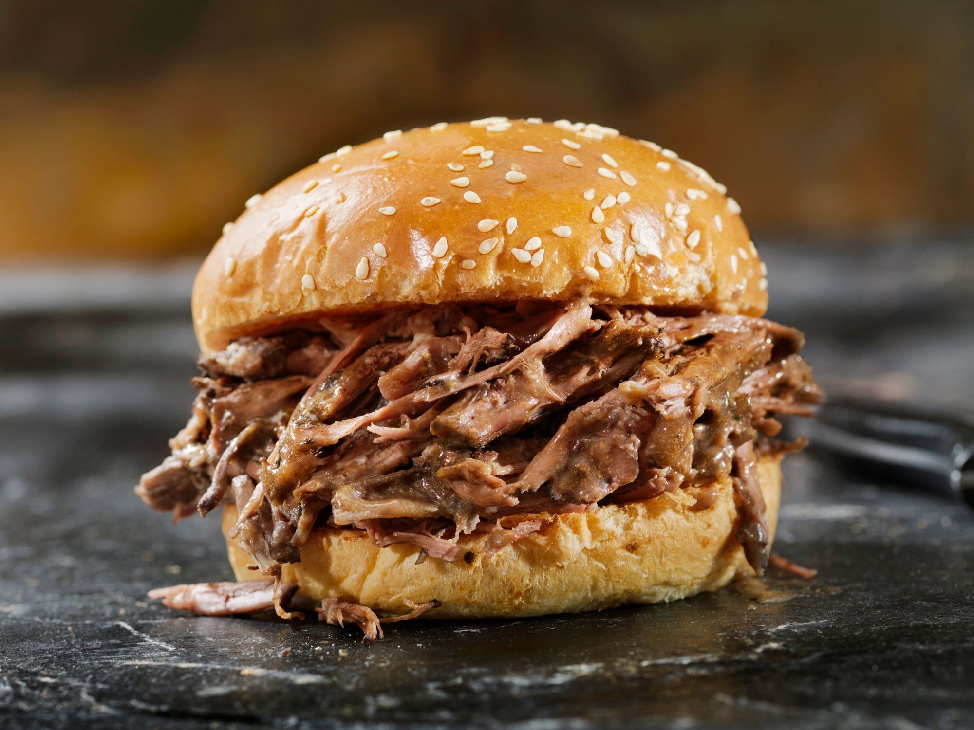 pulled pork barbecue sandwich